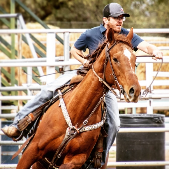 Meet your Posher, Dustin - Picture 1 of 1